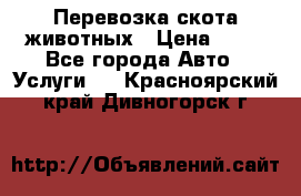 Перевозка скота животных › Цена ­ 39 - Все города Авто » Услуги   . Красноярский край,Дивногорск г.